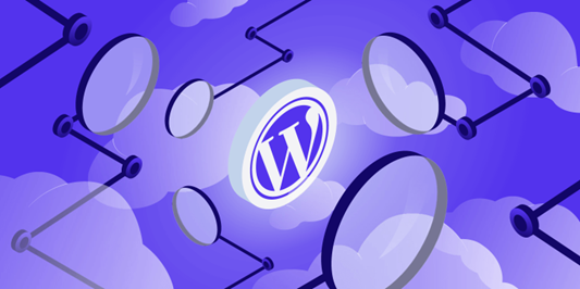 Vulnerabilità WordPress lefucine Vulnerabilità WordPress lefucine